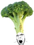 broccoli clothes food foodjak glasses hat open_mouth soyjak stubble variant:cobson vegetable // 1833x2417 // 2.5MB