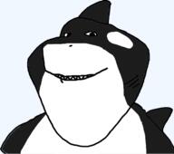 animal fin orca smile soyjak variant:impish_soyak_ears whale // 599x531 // 20.5KB