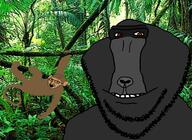 animal forest glasses gorilla grey_skin jungle monkey red_eyes smile soyjak stubble tree variant:classic_soyjak variant:impish_soyak_ears // 1315x958 // 1.8MB