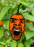 angry food habenero irl_background open_mouth orange orange_skin pepper pepperjak plant soyjak stubble variant:unknown // 947x1300 // 512.6KB