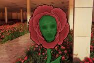 flower garden irl_background liminal_space plant rose variant:feraljak // 600x400 // 419.2KB