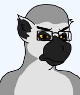 angry animal frown fur glasses lemur monkey variant:chudjak yellow_eyes // 800x947 // 17.4KB