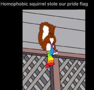 animal arm background closed_mouth ear fence full_body glasses hand holding_object leg lgbt pride_flag screenshot smile soyjak squirrel tail text variant:chudjak // 1000x956 // 167.8KB