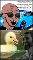 andrew_tate brown_skin bugatti car clothes comic cyrillic_text duck gigachad glasses irl irl_background open_mouth soyjak stubble sunglasses variant:classic_soyjak yellow_teeth // 899x1600 // 324.4KB