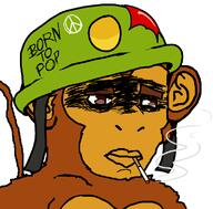 animal bloons bloons_td6 brown_eyes cigarette closed_mouth disappointed ear helmet military monkey nas smoke smoking soyjak tail text variant:chudjak video_game war // 782x770 // 28.6KB