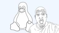 clothes distrotube ear g_(4chan) linux mustache open_mouth penguin soyjak stubble technology tux variant:unknown // 1600x898 // 271.9KB