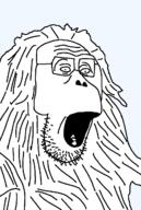 funny monkey open_mouth orangutan variant:orangson // 871x1298 // 41.6KB