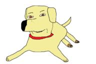 brown_eyes collar dog ear labrador_retriever paw smile subvariant:nucob tail variant:cobson // 688x460 // 11.5KB