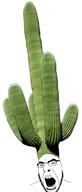 cactus clothes glasses hat open_mouth plant soyjak stubble variant:cobson // 733x1726 // 757.6KB