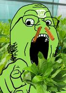 cinnamon g_(4chan) glasses green_skin hand herb irl_background linux logo mint open_mouth pointing pointing_at_viewer soyjak stubble technology variant:gapejak // 612x857 // 688.8KB