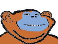 animal bleppsama blue ear hair monkey orange smile soyjak stubble twitter variant:impish_soyak_ears // 466x359 // 170.4KB