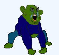 angry animated blue_shirt crying ear fat frog full_body glasses green_skin hair lips monkey_dance pepe variant:chudjak // 255x241 // 22.2KB