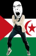 angry animated country crescent dance flag full_body gangnam_style glasses irl open_mouth polisario soyjak star star_and_crescent stubble variant:cobson western_sahara // 300x460 // 500.0KB