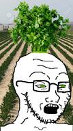glasses green_eyes herb irl_background open_mouth parsley plant soyjak stubble tired variant:soyak // 490x883 // 591.4KB