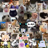 animal autism boykisser boykissersilly_cat cat collage cuptoast discord ftm geometry_dash minor neco_arc pronouns pussymouth silly silly_cat standing tiktok tongue_out transgender_flag twitter variant:shirtjak // 1000x1000 // 1.4MB