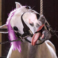 animal bloodshot_eyes crying goldship hanging horse meta:not_a_soyjak nas open_mouth purple_hair soy_parody soyjak tranny variant:bernd // 477x477 // 68.5KB