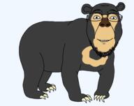 animal bear claws ear full_body glasses smile soyjak stubble sun_bear variant:bernd // 1600x1274 // 100.7KB