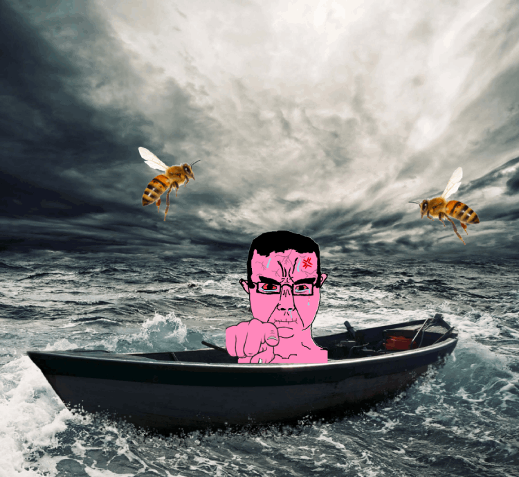angry animal animated bee bee_bee_sea boat hand irl_background pink_skin pointing pointing_at_viewer sea variant:chudjak // 750x689 // 398.0KB