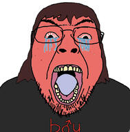 angry bloodshot_eyes boymoder brown_hair crying glasses hair open_mouth red_face soyjak stubble variant:bernd yellow_teeth // 734x746 // 255.4KB