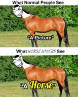 2soyjaks animal ear hair horse large_nose meme smile soyjak stubble subvariant:impish_horse text variant:impish_soyak_ears // 1080x1350 // 1.9MB