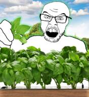angry arm basil glasses hand herb holding_object irl_background mustache open_mouth plant soyjak stubble variant:feraljak // 1000x1090 // 1.6MB