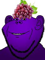 clothes ear food foodjak fruit gradient grape hat purple_skin smile soyjak stubble variant:impish_soyak_ears // 574x768 // 338.3KB