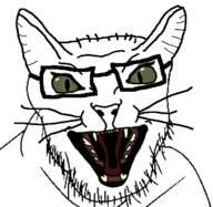 angry animal cat cat_ear ear glasses green_eyes open_mouth soyjak stubble subvariant:feral_meowjak variant:feraljak whisker // 636x621 // 121.4KB