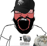 angry animal arm beard cap clothes glasses hat heart i_love manul open_mouth red_face soyjak subvariant:science_lover text tshirt variant:markiplier_soyjak // 1104x1083 // 367.8KB