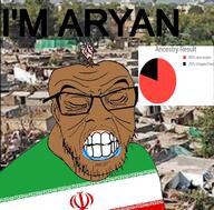aryan brown_skin clenched_teeth closed_eyes iran iranian irl_background its_over soyjak text variant:feraljak // 1463x1440 // 393.4KB