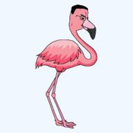 beak bird feather flamingo full_animal glasses pink_skin side_profile soyjak variant:chudjak wing // 1200x1200 // 34.1KB