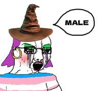 angry arm clothes crying dyed_hair earring glasses harry_potter hat lipstick makeup mascara open_mouth pink_hair speech_bubble text tranny variant:chudjak // 494x457 // 26.8KB