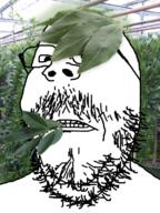 angry bayleaf glasses herb irl_background leaf mustache plant soyjak stubble variant:gapejak // 600x800 // 647.6KB