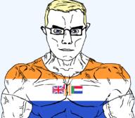 arm blue_eyes buff chud closed_mouth clothes country ear flag glasses hair muscles south_africa soyjak subvariant:chudjak_front subvariant:muscular_chud tshirt variant:chudjak vein yellow_hair // 1059x929 // 48.6KB