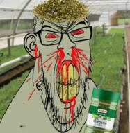 angry blood bloodshot_eyes clenched_teeth clothes cracked_teeth ear glasses green_skin hat herb irl_background mustache oregano plant red_eyes soyjak stubble variant:feraljak vein yellow_teeth // 894x919 // 1.7MB