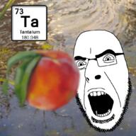 angry chemistry element food fruit glasses irl_background open_mouth peach soyjak stubble tantalum variant:cobson water // 1038x1038 // 738.1KB