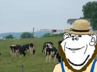 amish beard clothes cow ear hat irl_background pennsylvania smile soyjak straw_hat variant:impish_soyak_ears // 720x540 // 402.0KB