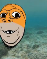 animal deformed fish glasses irl_background orange_skin sea smile soyjak stubble variant:wholesome_soyjak water // 720x900 // 455.4KB