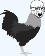 animal animated bloodshot_eyes chicken crying gif glasses open_mouth rooster soyjak stubble variant:classic_soyjak // 680x815 // 857.9KB