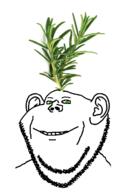 ear herb plant rosemary smile soyjak stubble variant:impish_soyak_ears // 800x1200 // 376.0KB