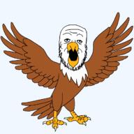 animal bald_eagle beak bird eagle feather full_body open_mouth soyjak stubble variant:a24_slowburn_soyjak wing // 1200x1200 // 25.4KB