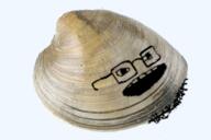 clam glasses objectsoy open_mouth soyjak stubble variant:classic_soyjak // 460x307 // 171.3KB