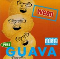 album_cover angry food fruit glasses guava music open_mouth soyjak text variant:feraljak ween // 498x494 // 557.5KB