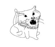 animal cat soy soyjak // 813x701 // 18.1KB