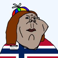 angry brown_hair closed_mouth clothes country ear flag flag:norway grey_skin hair hat norway propeller_hat redraw soyjak variant:impish_soyak_ears // 800x800 // 25.2KB