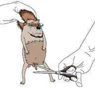 animal animal_abuse closed_mouth crying frown full_body glasses hand hedgehog mucus nsfw penis scissors soyjak stubble variant:gapejak // 802x743 // 36.5KB