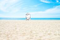 beach closed_mouth glasses grin hand happy hugging irl_background sand sea smile stubble subvariant:wholesome_soyjak variant:gapejak water // 1200x800 // 974.7KB