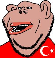 amerimutt brown_skin clothes ear lips mutt open_mouth red_shirt soyjak stubble turk turkiye variant:impish_soyak_ears // 598x628 // 19.4KB