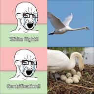 bird bloodshot_eyes crying egg glasses left_wing leftist nest open_mouth political_compass pond soyjak stubble swans variant:soyak // 2048x2048 // 311.8KB