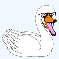 animal beak bird feather full_body glasses open_mouth soyjak stubble swan tongue variant:feraljak wing // 1200x1200 // 57.5KB