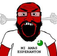 angry arm badge beard clothes conlang esperanto flag fume glasses i_love linguistics open_mouth red soyjak subvariant:science_lover text tshirt variant:markiplier_soyjak // 800x789 // 2.4MB